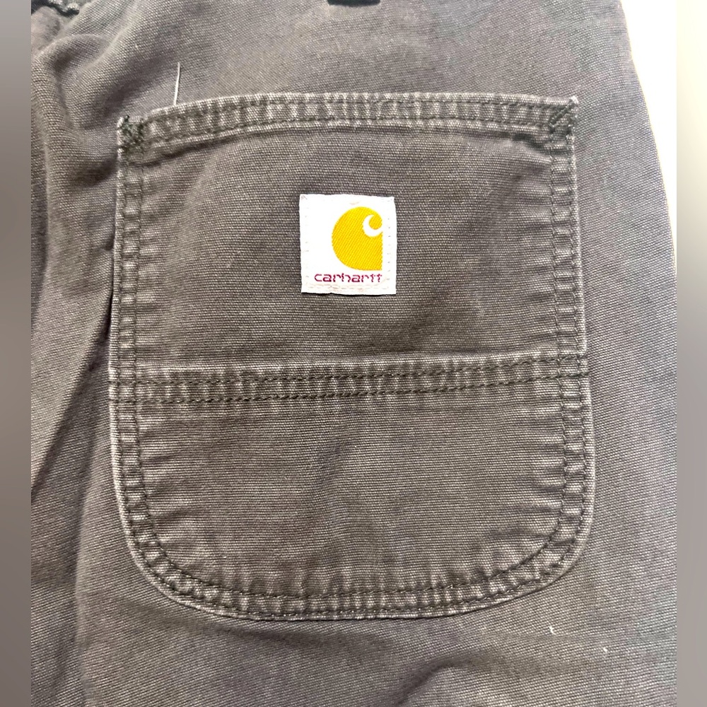 Carhart mens pants